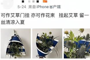 必威网址app截图0